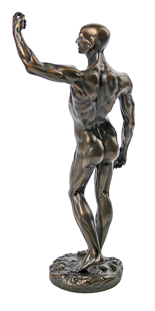 Anatomical Study of Flayed Male L'ecorche Collectible Figurine by Houdon