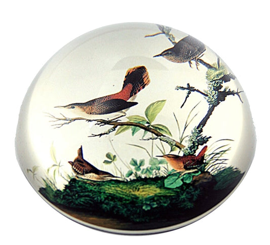 Winter Wrens Glass Paperweight by J.J Audubon