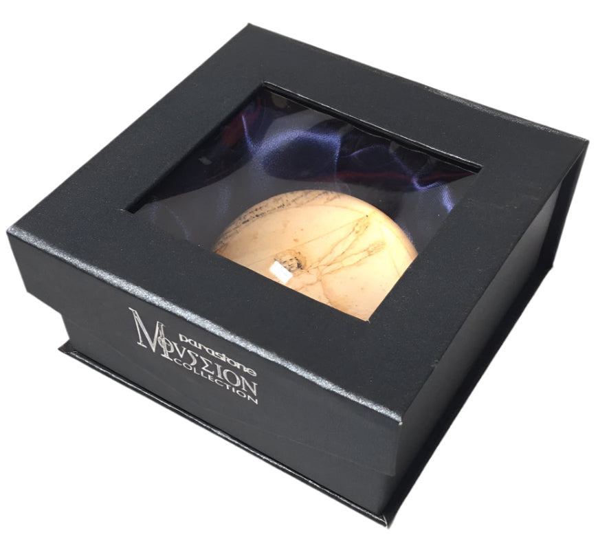 Vitruvian Man Glass Paperweight by Davinci PDAV1 Parastone