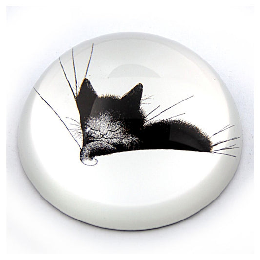 Kitty Sleeping in a Pillow Glass Paperweight by Dubout