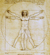 Vitruvian Universal Man Statue by DaVinci, Bronze