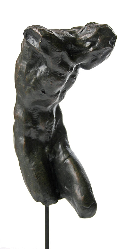 Male Body Twisting Corps by Michelangelo