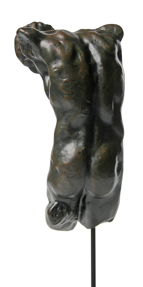 Male Body Twisting Corps by Michelangelo